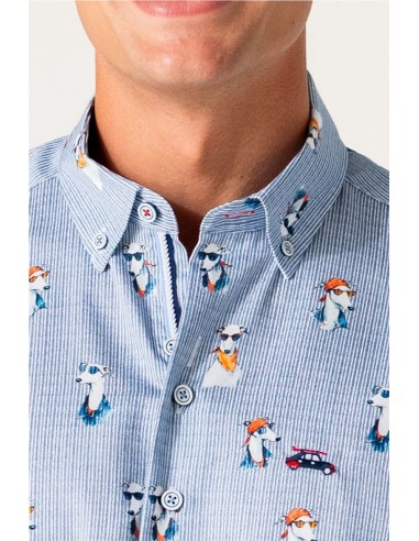 CAMISA ESTAMPADO PERROS CON GAFAS...
