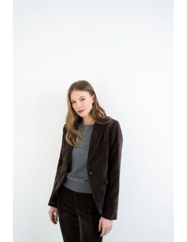 BLAZER EFECTO TERCIOPELO  HONGO